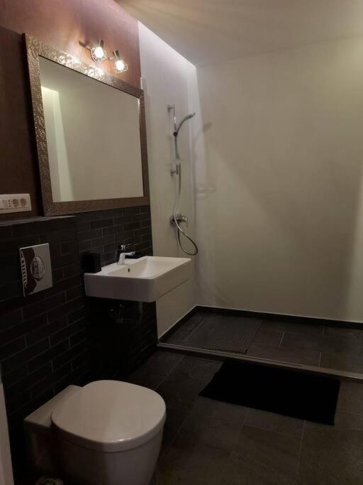 Alto Studio & Free Private Parking Brasov Exterior photo