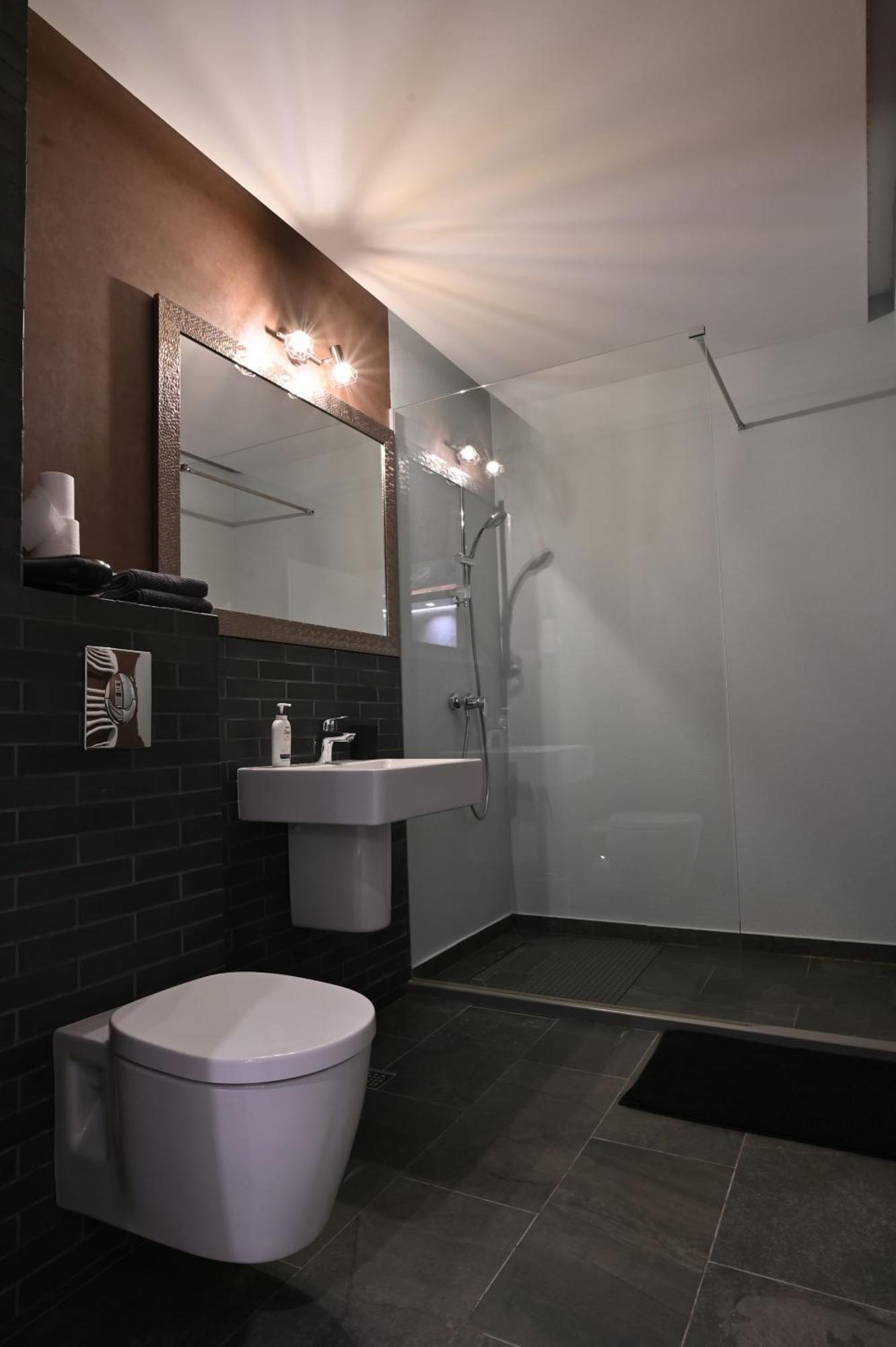 Alto Studio & Free Private Parking Brasov Exterior photo